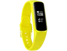 Galaxy Fit e